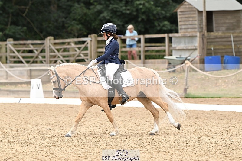 250808A-114246-00681 - 155-Rose.Cassapi-Westfirle.Golden.Oriole