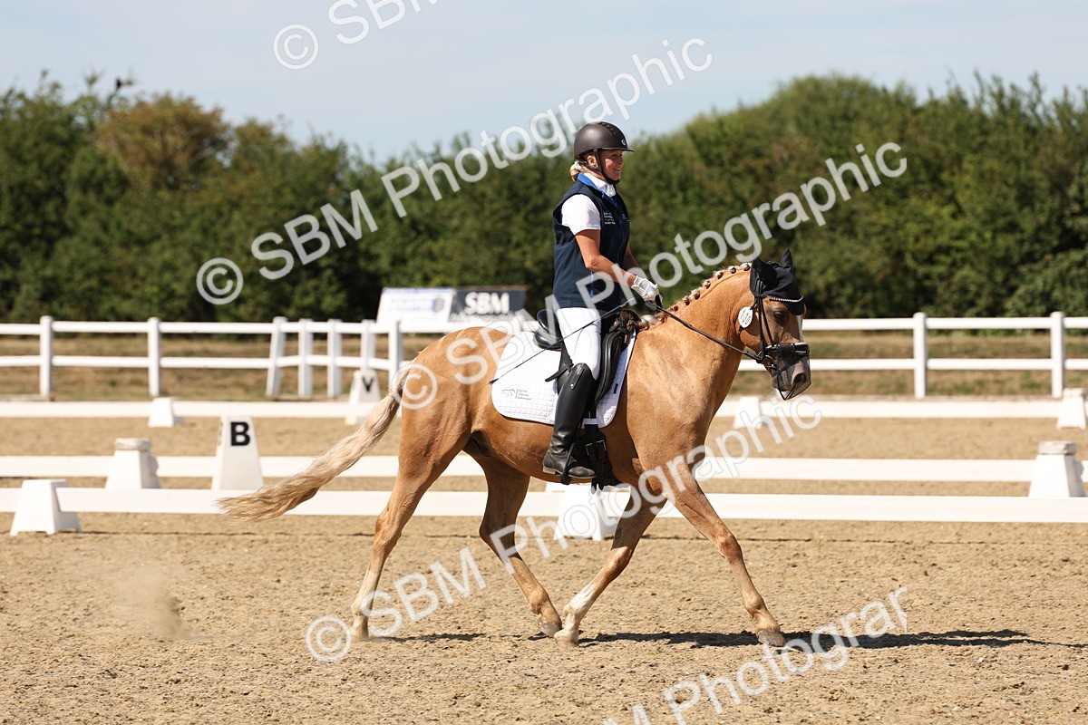 SBM_003678 - Elementary 4