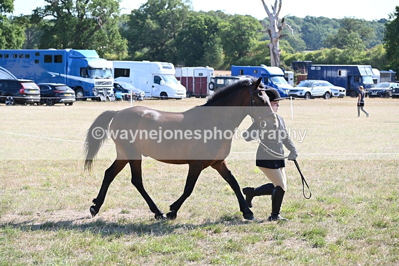 WJ6_7542 - Class 34 Judges Choice
