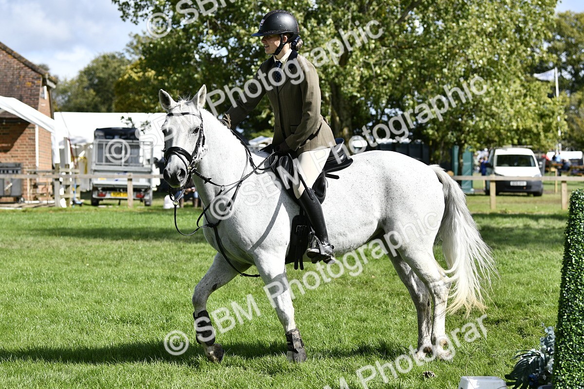 SBM_45734 - S33 - Working Hunter Pony