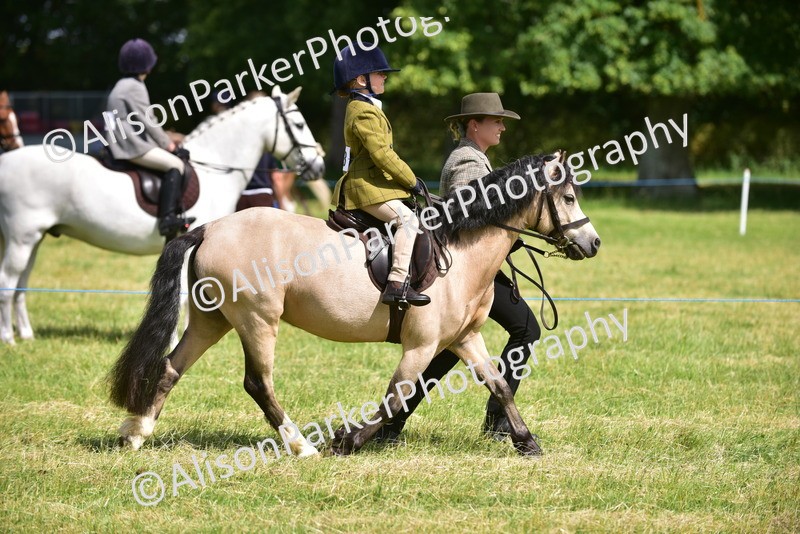 20260614-1163 - Class 11a - Lead Rein Pony (Unplaited)