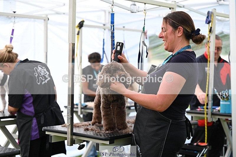 240525-114705-12618 - Candid and Saturday Hobby Horse