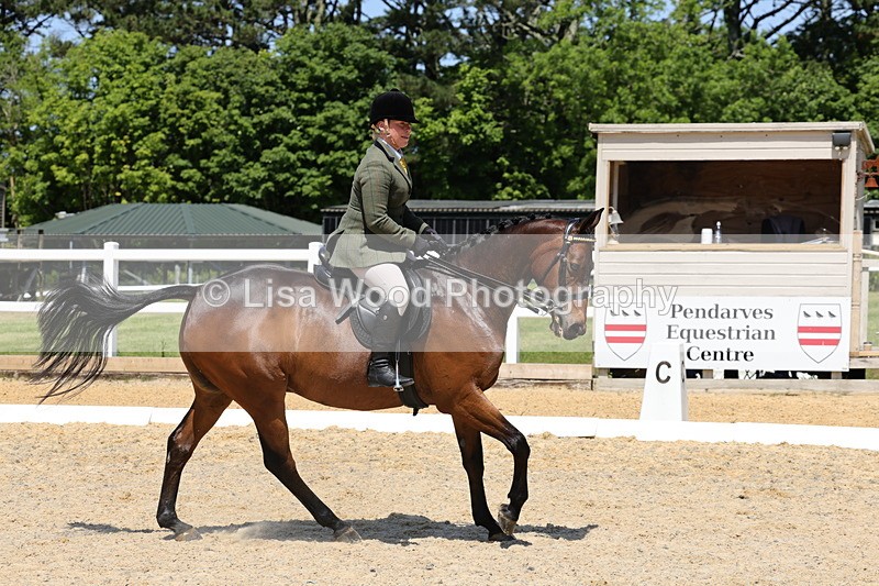 1X9A1832 - Class 12: Ridden Riding Horse/Hack