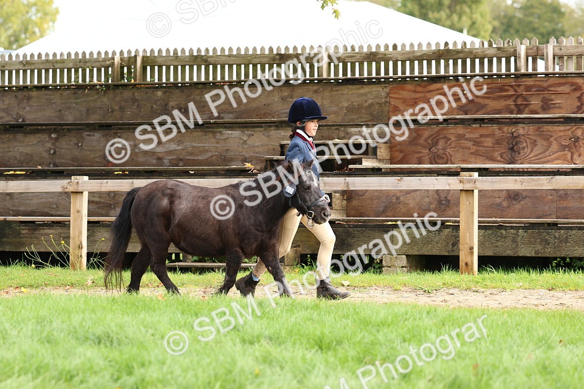 SBM_40715 - S25 -  Veteran In Hand