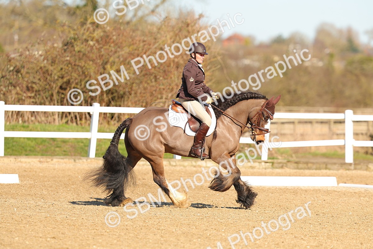 SBM_003467 - Class 4 - N1-80cm