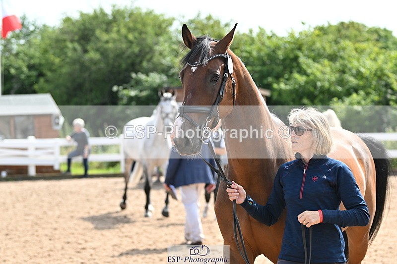 240717A-155800-03221 - Trot Up 3pm to 4pm
