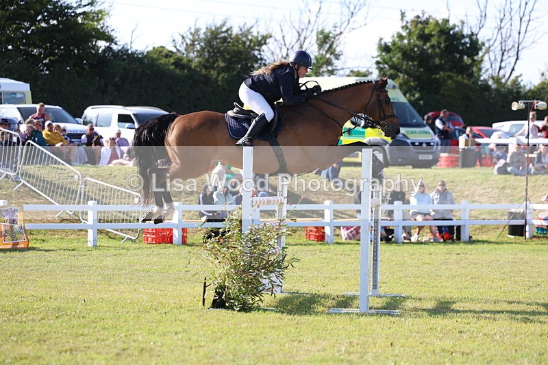 3E7A4356 - Class C: Showjumping Senior Foxhunter