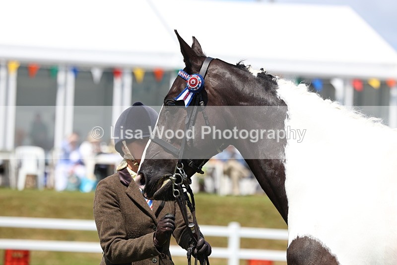 3E7A1215 - Class 8: Open Riding Horse/Hack