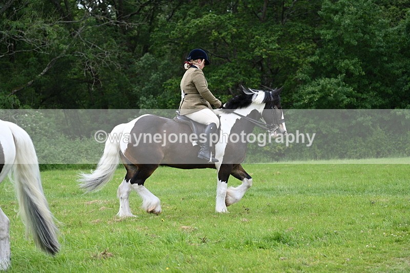 WJ7_2076 - Class 12A Coloured Class