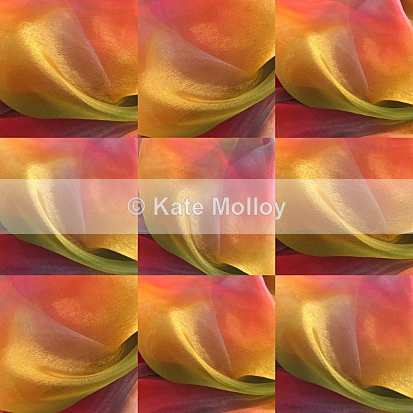 Petals - Collages