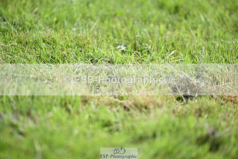 240824X-115924-26142 - D80 Section E and F 11.00 to 12.00