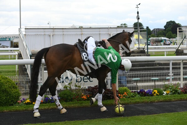 yr22052022r8e-34 - ROR - Parade Ring York