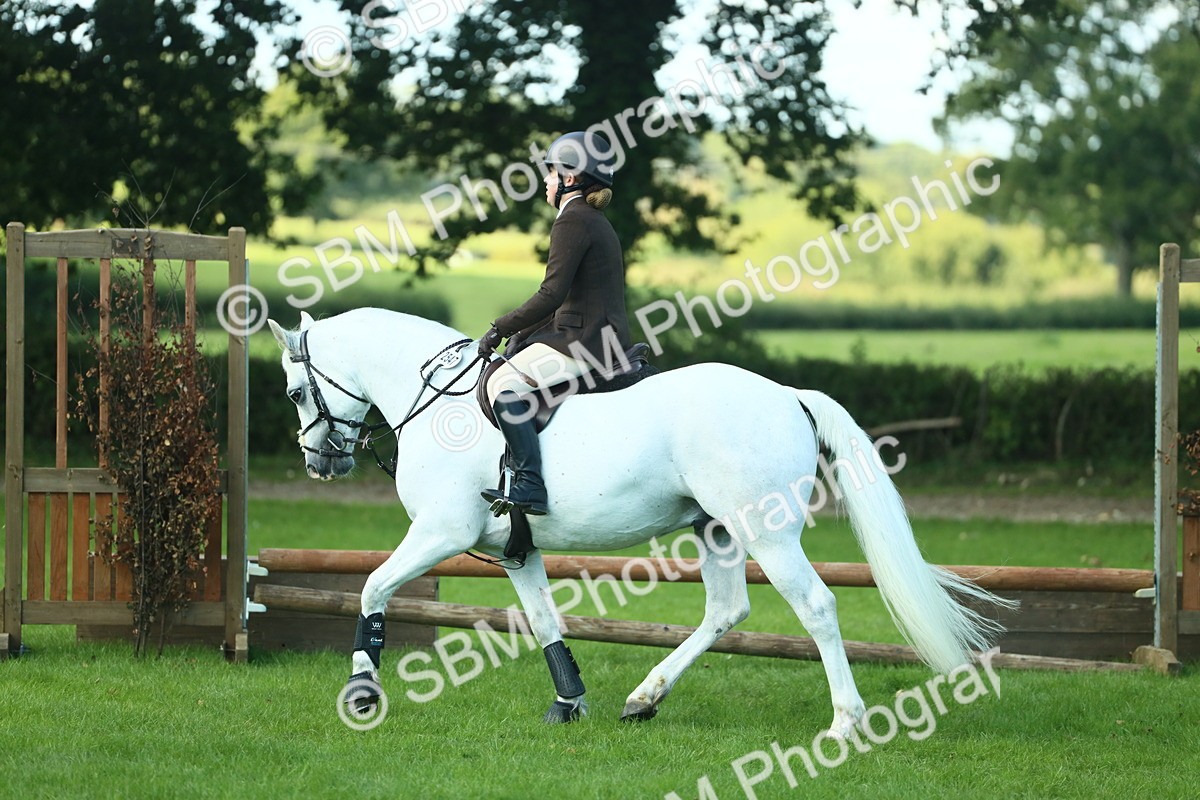 SBM_39238 - S29 - Novice & Newcomers Working Hunter Pony