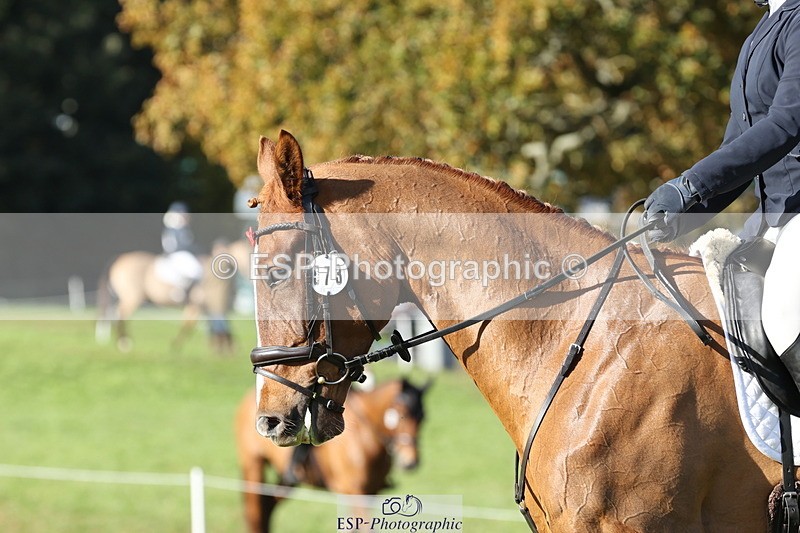 251024A-144258-14269 - G-573-Lisa.Stock