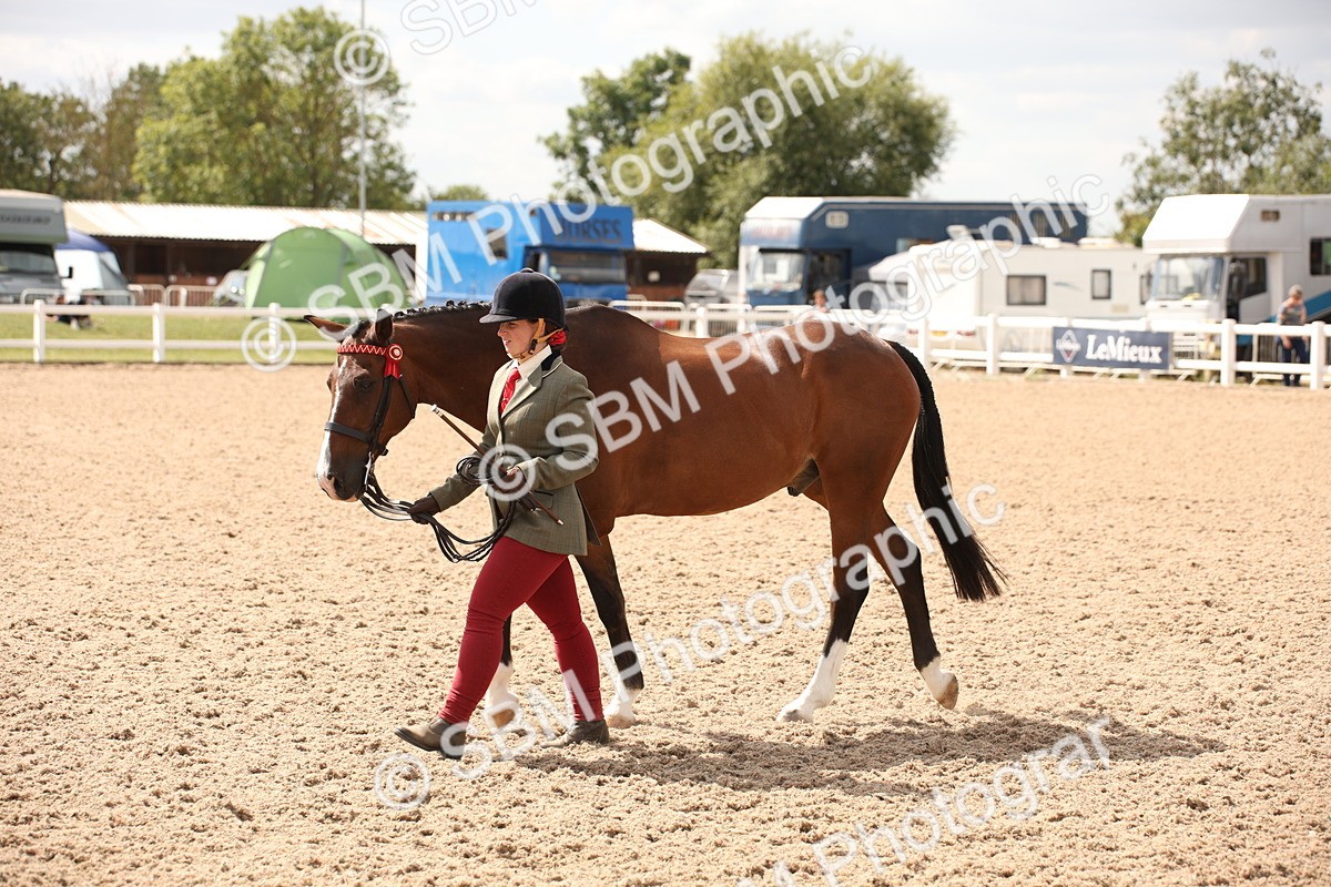 SBM_04632 - Class 20 IH Veteran