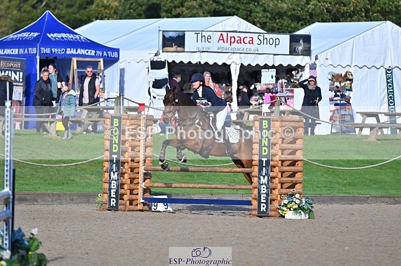 241027-093139-16025 - 390-Pippa.Howell-Phippard-NO.LIMIT.II