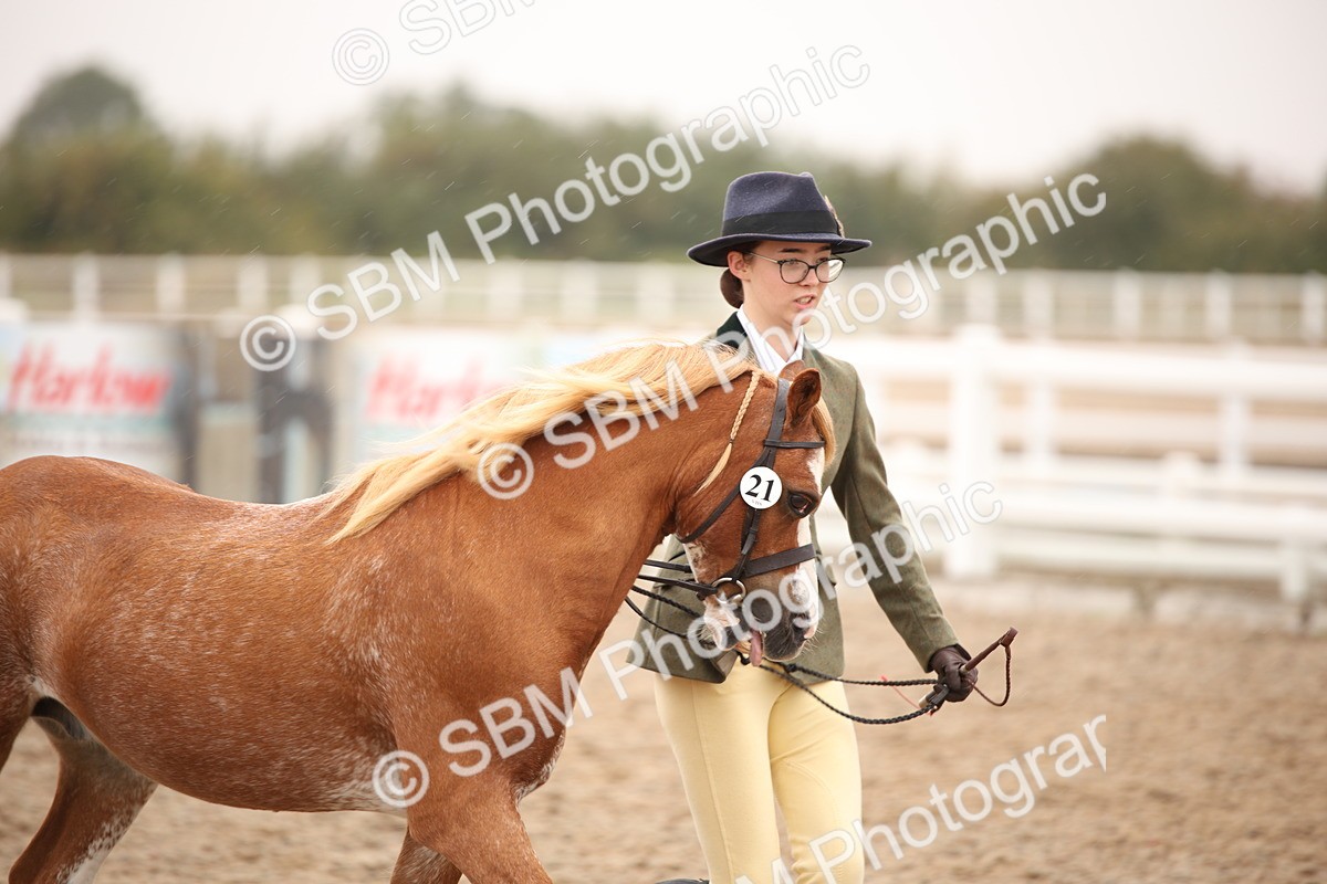 SBM_20212 - Class 703 - IH  Coloured