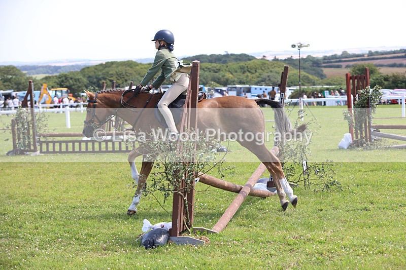 JPP_2657 - Class 21: Working Hunter 60cm