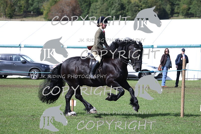 APP_3540 - Class 12 M&M ridden