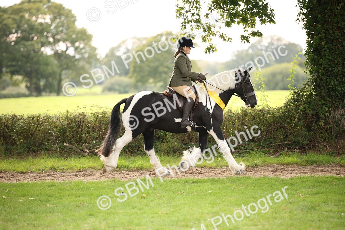 SBM_73629 - Ridden Horse Supreme Championship
