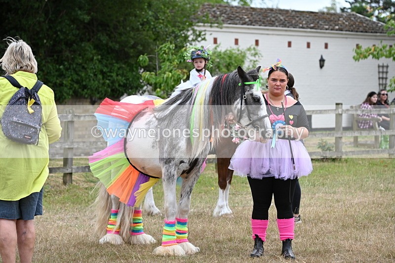 WJ6_9143 - Class 11 Fancy Dress