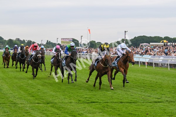 250524-Race 2-Arabie-2995 - Race 2 2.10pm Reg Bond 'Always And Forever' EBF Restricted Novice Stakes