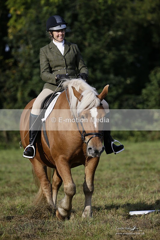 BVRC 120921 21 - Bourne Valley Riding Club UA Dressage & Show Jumping 12/09/21