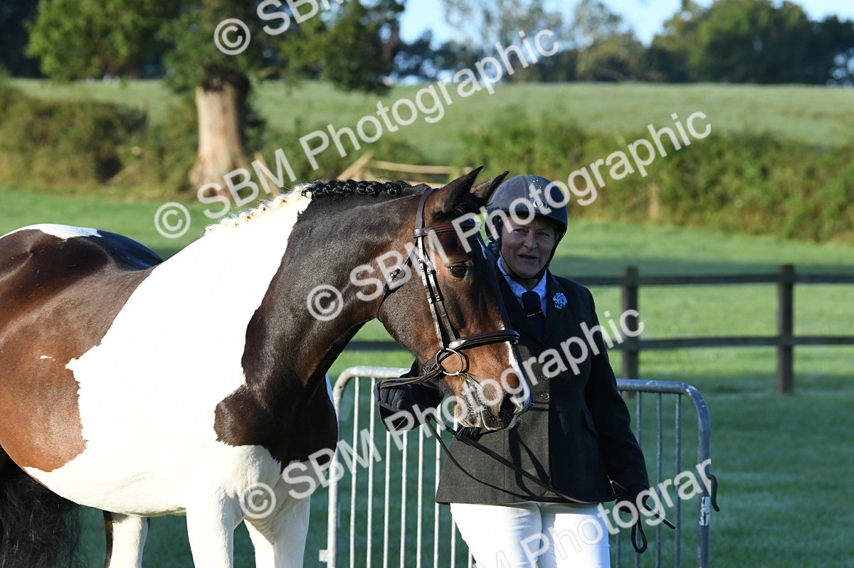 SBM_32476 - S15 - Condition & Turnout In Hand