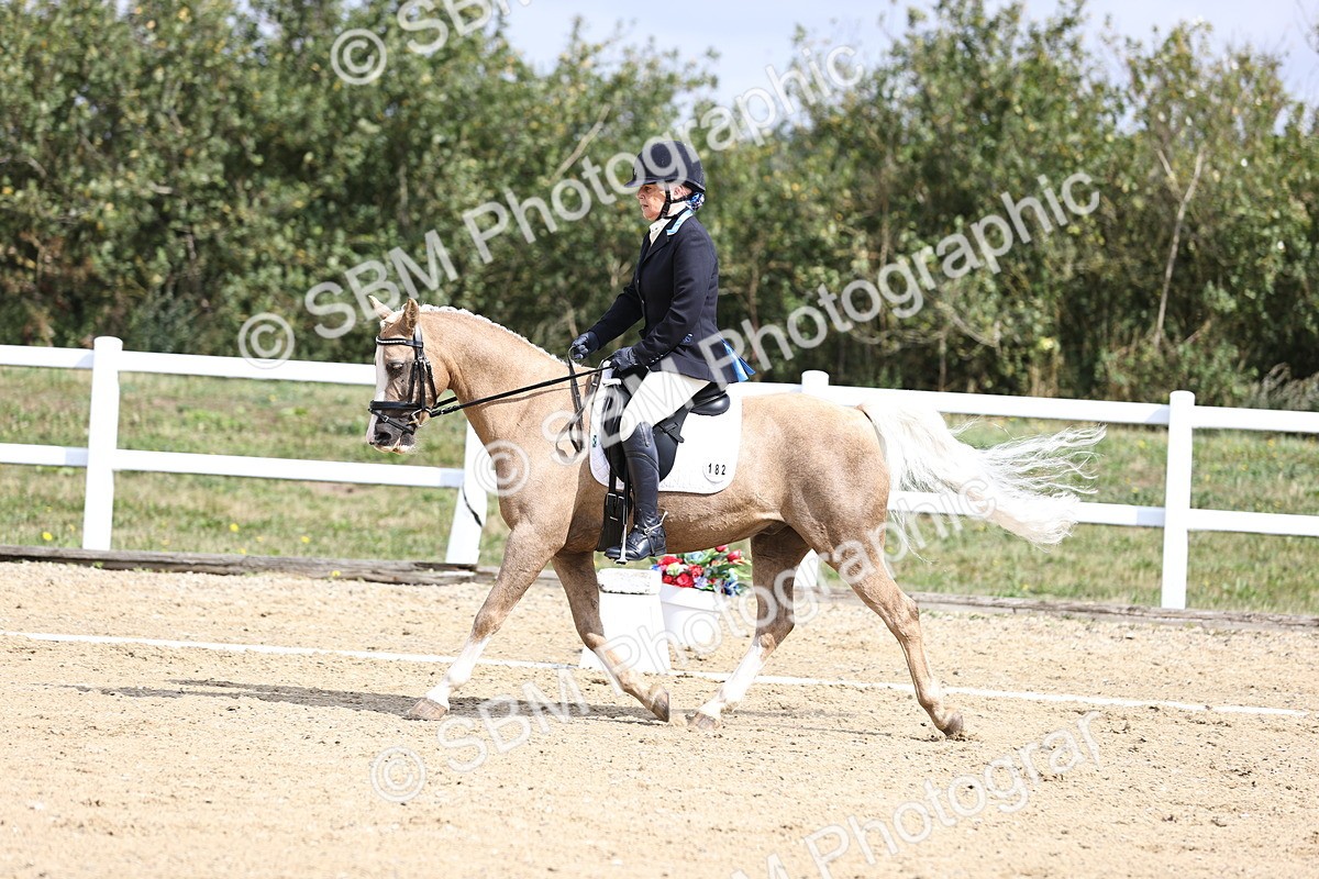 SBM_016187 - Class 14 - Novice 23 - 10.29-11.32