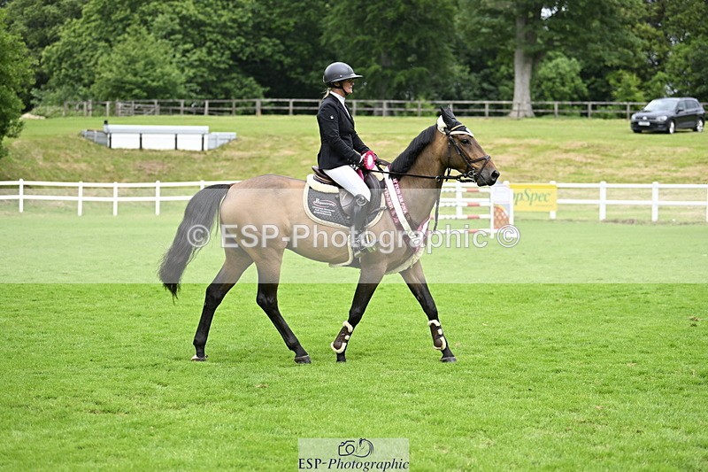 250613A-135936-02447 - Cls 3 Snr Foxhunter