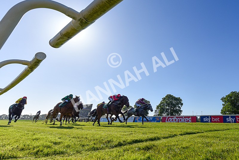 170525-Race 8-So Grateful-3334 - Race 8