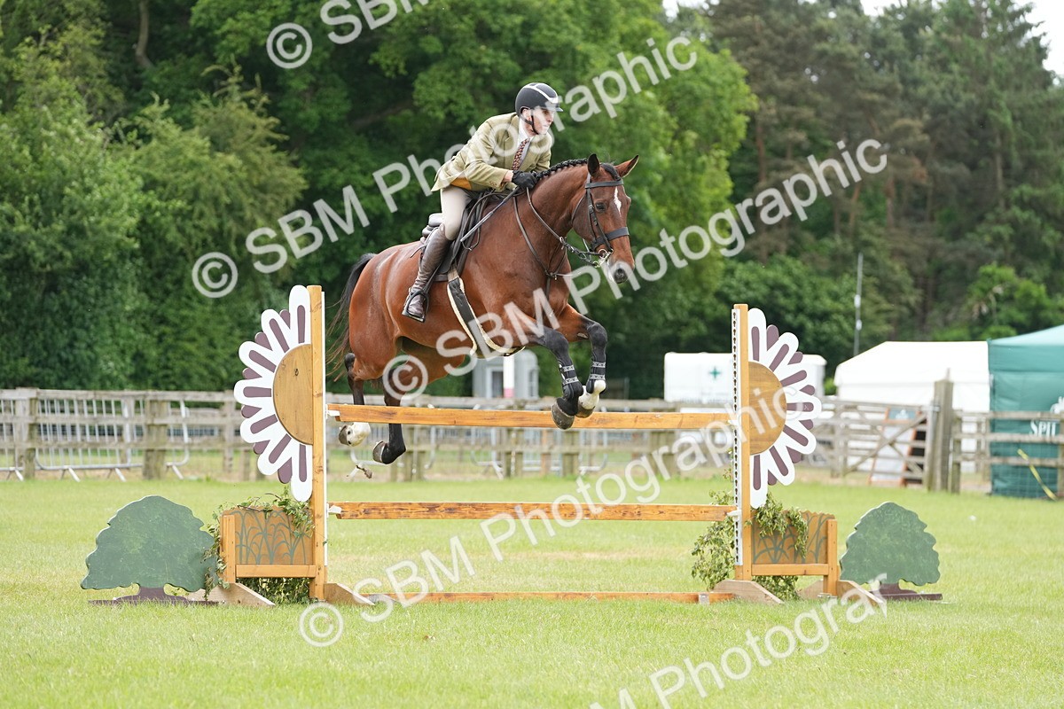 SBM_14942 - Class 100-102 - RIHS Working Hunter