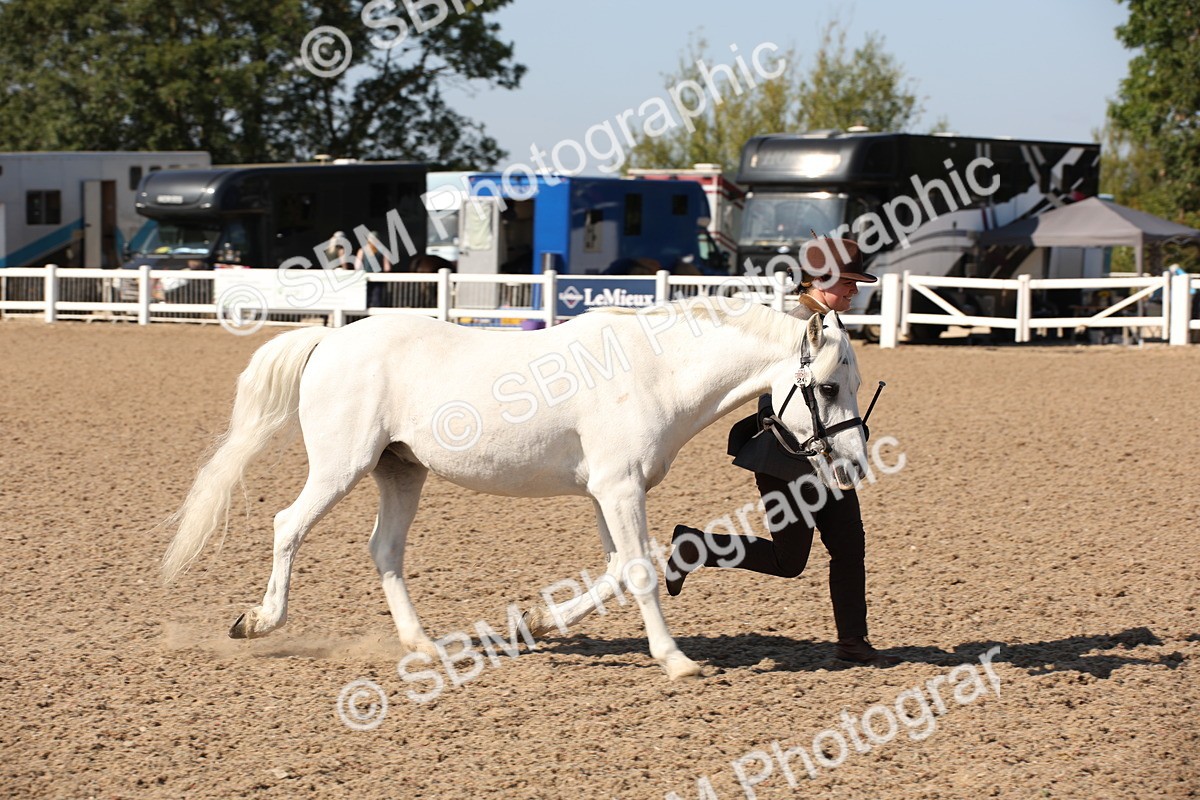 SBM_02793 - Class 16 IH M&M Wildcard