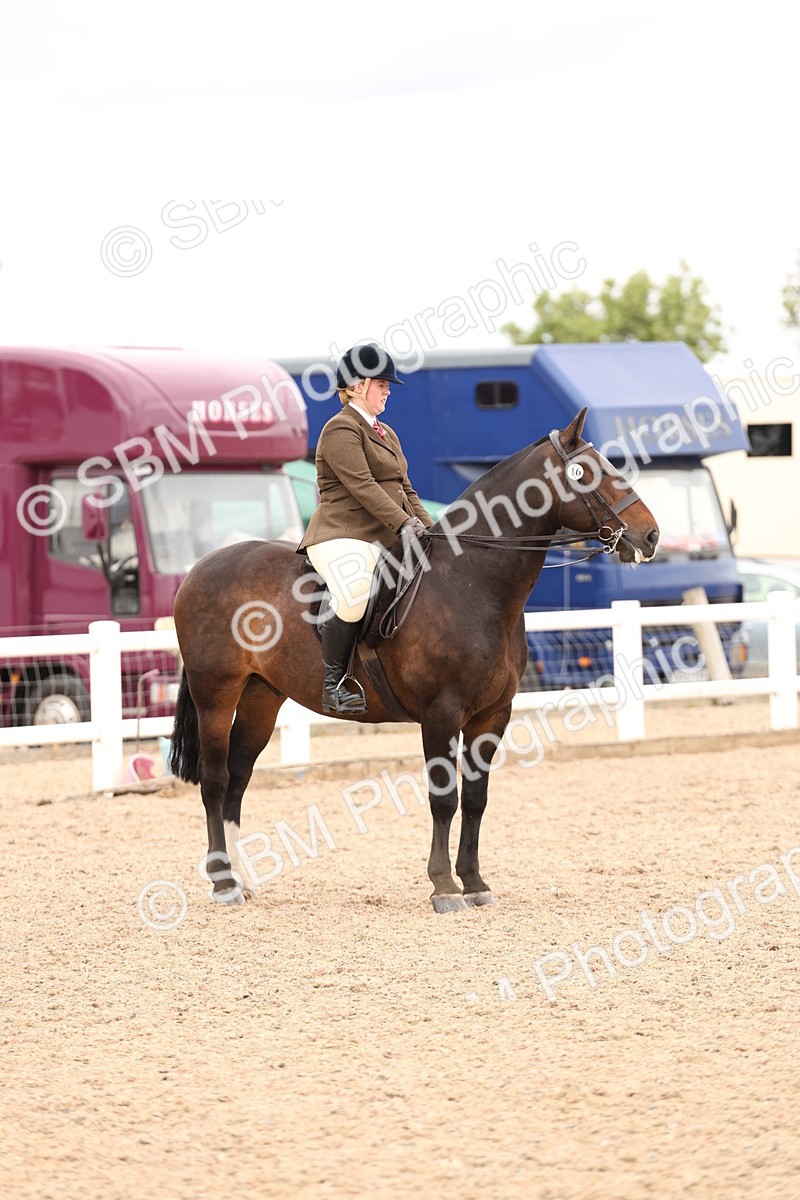 SBM_19578 - Class 215 - Ridden Show cob