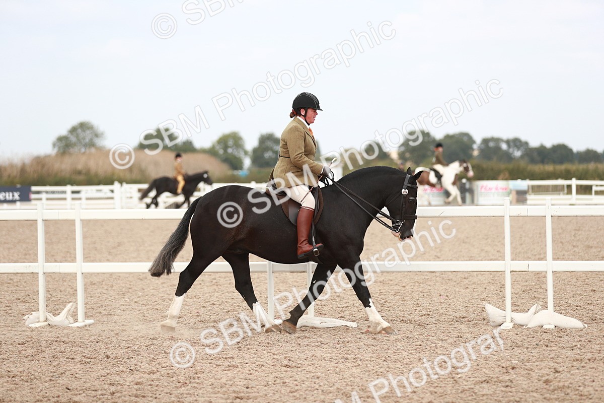 SBM_16618 - Class 214 Ridden Cob