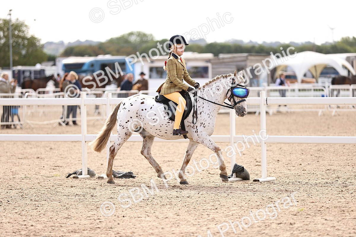 SBM_12836 - Class 409 - Grassroots Ridden - Pony