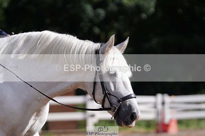 240809A-093246-00270 - Dressage Competition