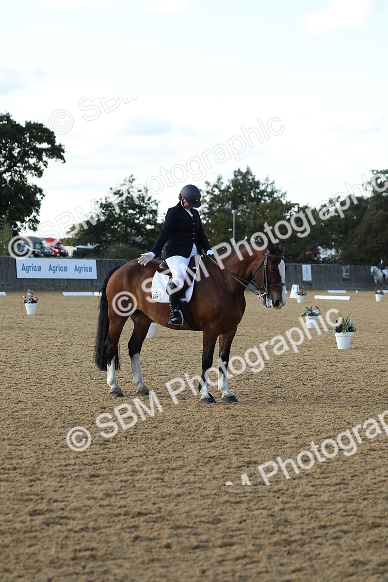 SBM_28680 - D20 - Grand Tour Championship - Elementary 44