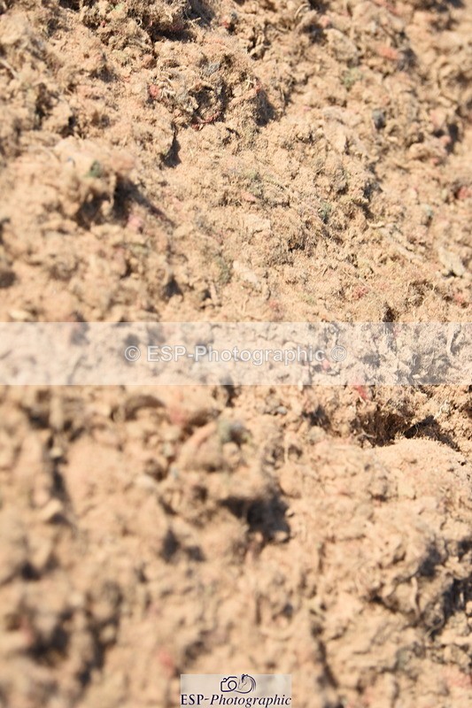 230915A-154914-00884 - Cls 13 1.10m Amateur Qualifier & 1.10m Open