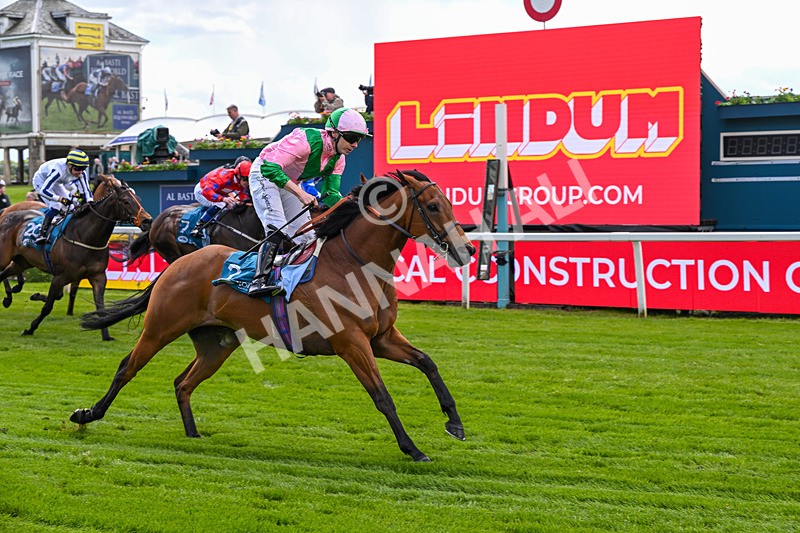 140526-Race 2-Jakajaro-4600 - Race 2 2.20pm Lindum York Handicap