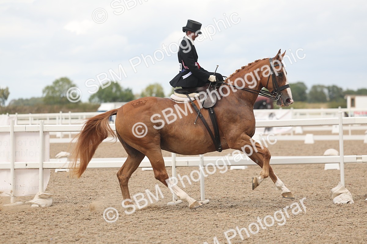 SBM_06336 - Class 24 - SSA Concours d'Elegance