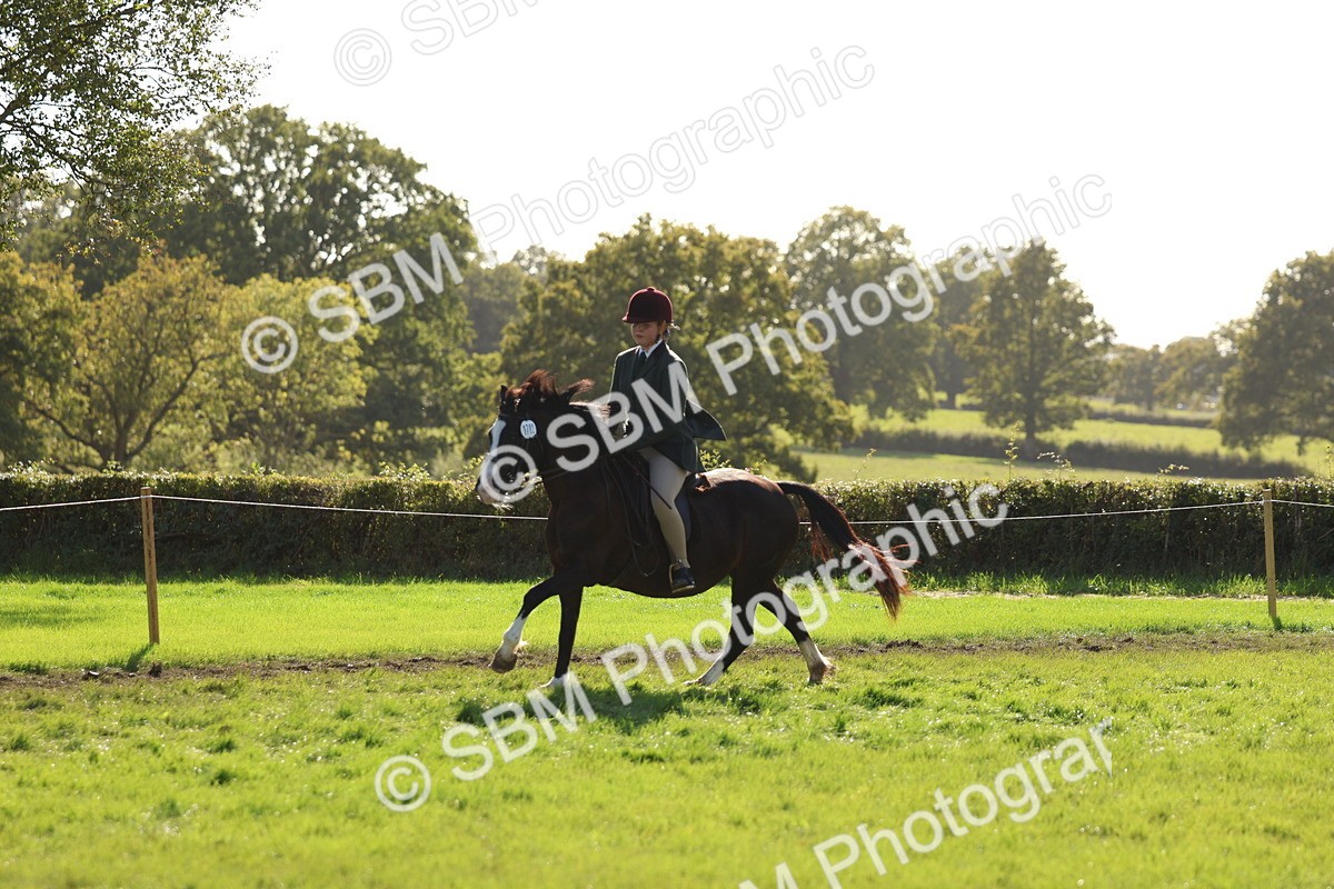 SBM_52454