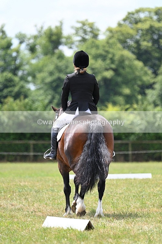 WJ7_5587 - Time 11:52 to 12:10