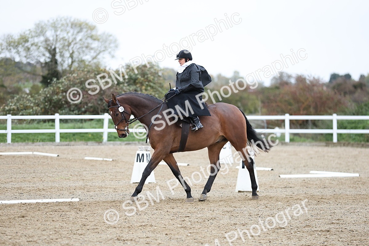 SBM_004782 - Class 10-13 Novice 4 Prelim 5