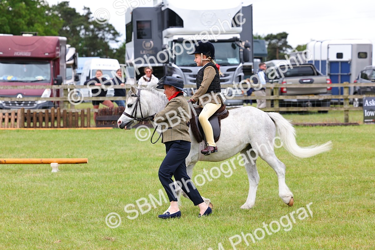SBM_08206 - Class 42-43 - LIHS BSPS Heritage Working Sports Pony