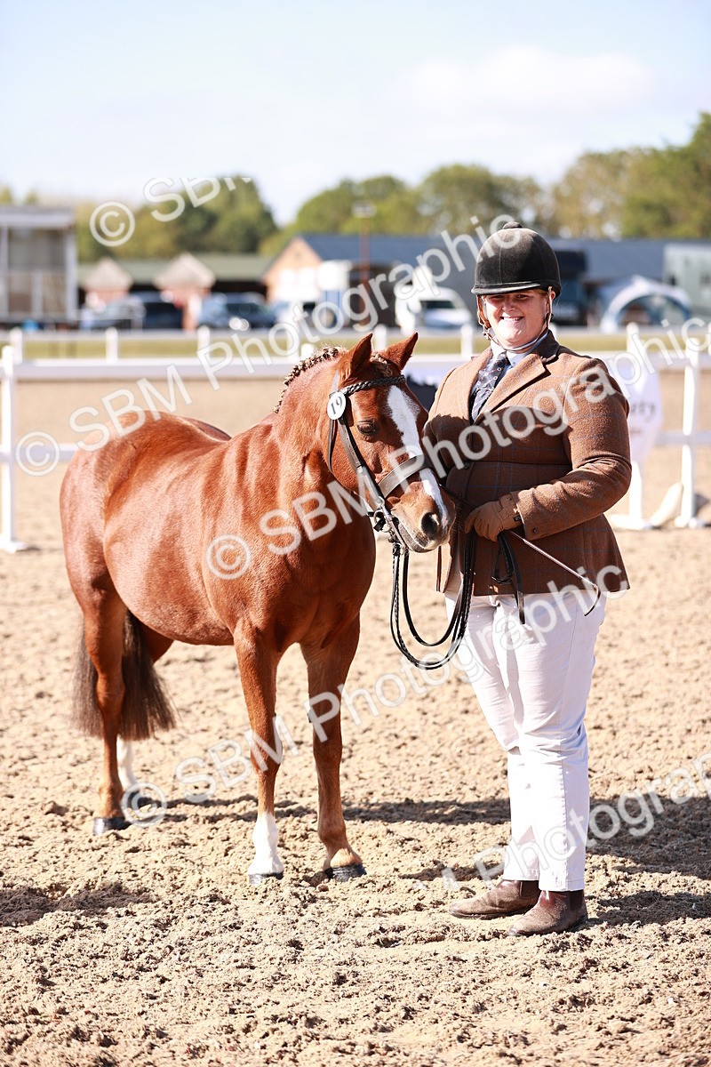 SBM_22705 - Class 704 - IH  Rescue