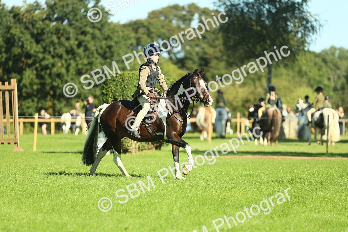 SBM_37523 - S29 - Novice & Newcomers Working Hunter Pony