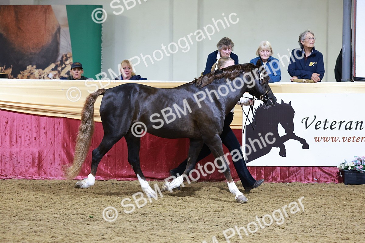 SBM_21055 - Class P - M&M Champs