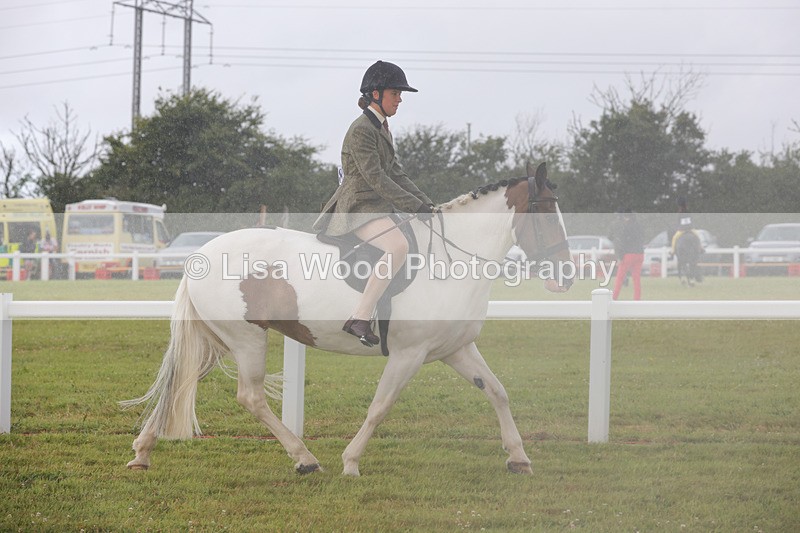 1X9A3000 - Class 26: Ridden Plaited Coloured Pony