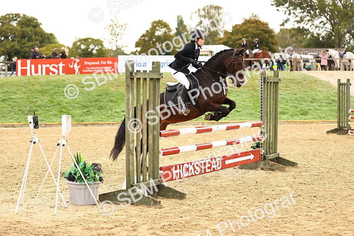 SBM_58281 - J41 - Grand Tour Horse & Pony 95cm